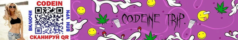 darknet как зайти  Емва  Кодеиновый сироп Lean напиток Lean (лин) 