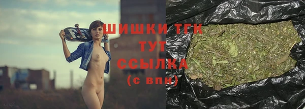 apvp Вяземский