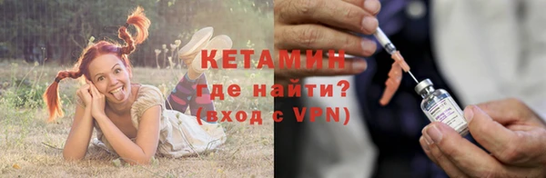 apvp Вяземский