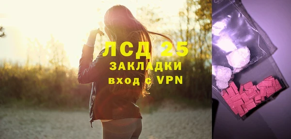apvp Вяземский