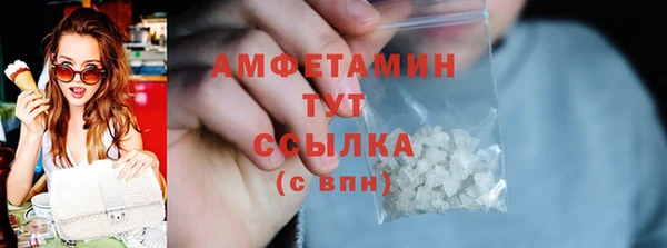apvp Вяземский