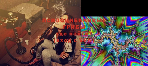 бошки Горняк