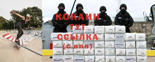 apvp Вяземский