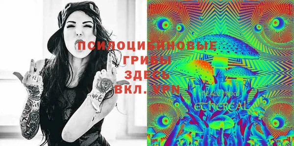 apvp Вяземский