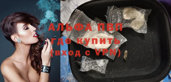 apvp Вяземский