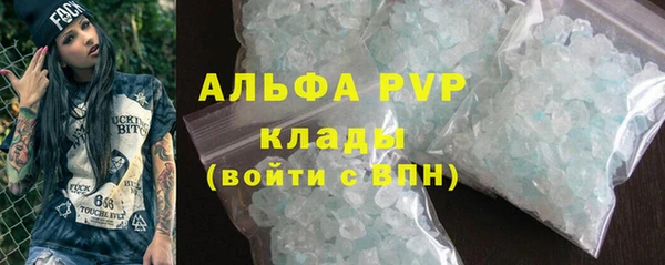 apvp Вяземский
