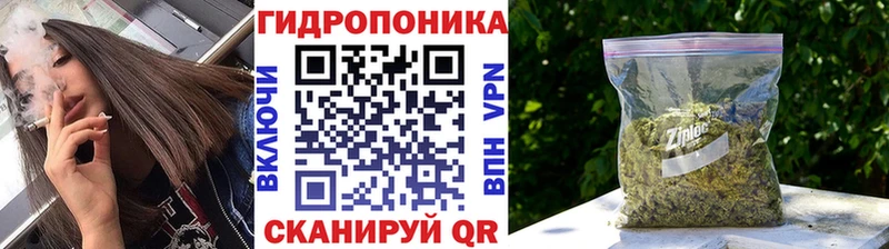 Канабис планчик  купить закладку  Емва 